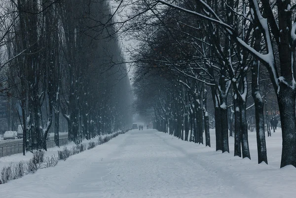 Hermoso callejón de invierno — Foto de Stock