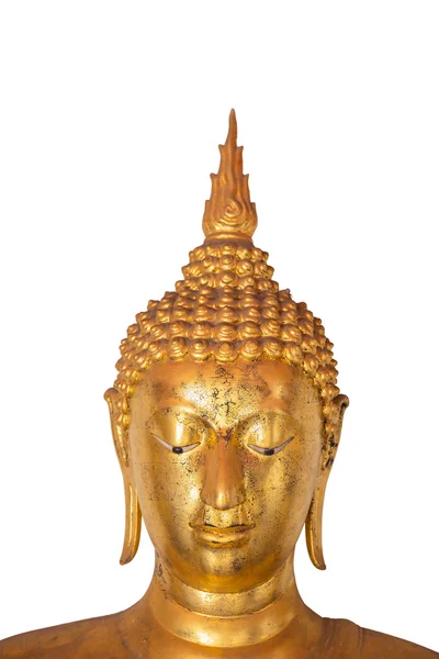 Head of buddha on white background — Stock Photo, Image