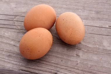 çiftlik taze yumurta