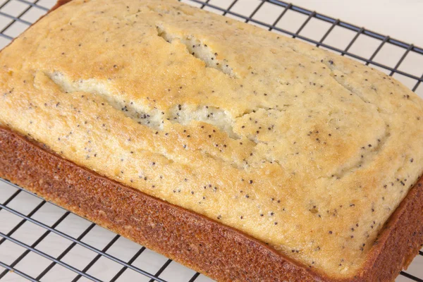 Taze limon haşhaş tohumu ekmek