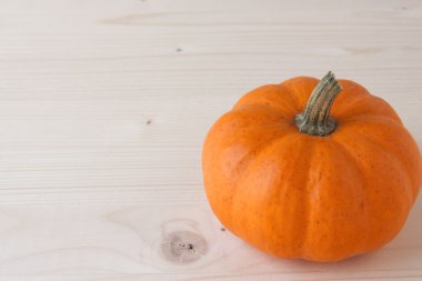 Minyatür Güz Pumpkins