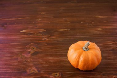 Minyatür Güz Pumpkins