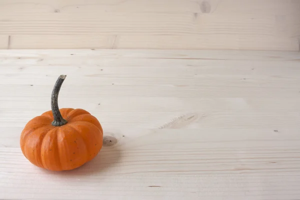 Miniatyr hösten pumpor — Stockfoto