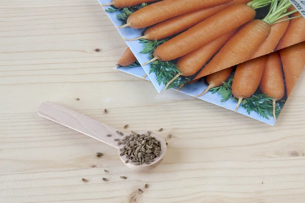 Havuç tohum dikilecek