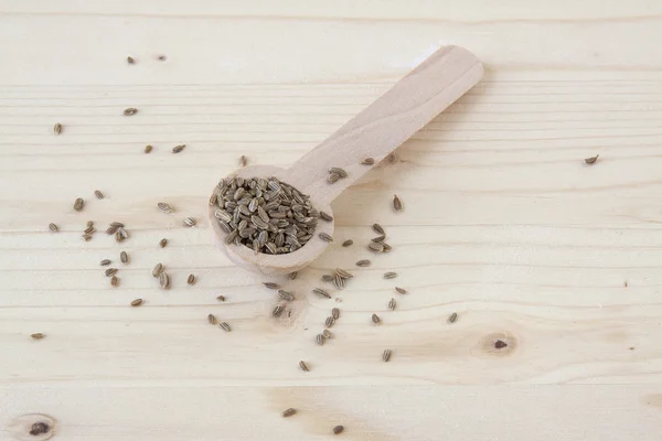 Havuç tohum dikilecek