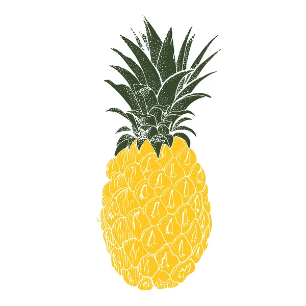 Elle çizilmiş ananas. Vektör arka plan — Stok Vektör