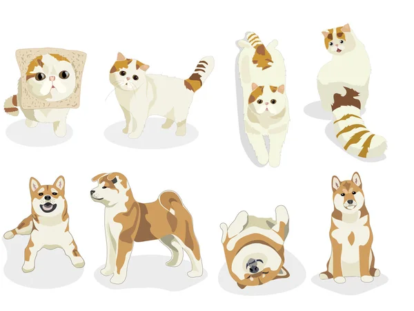 Символи котів і собак. Мультиплікаційна ілюстрація. Шиба-іну. набір фургонів Tabby — стокове фото