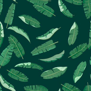 Muz yaprakları seamless modeli.