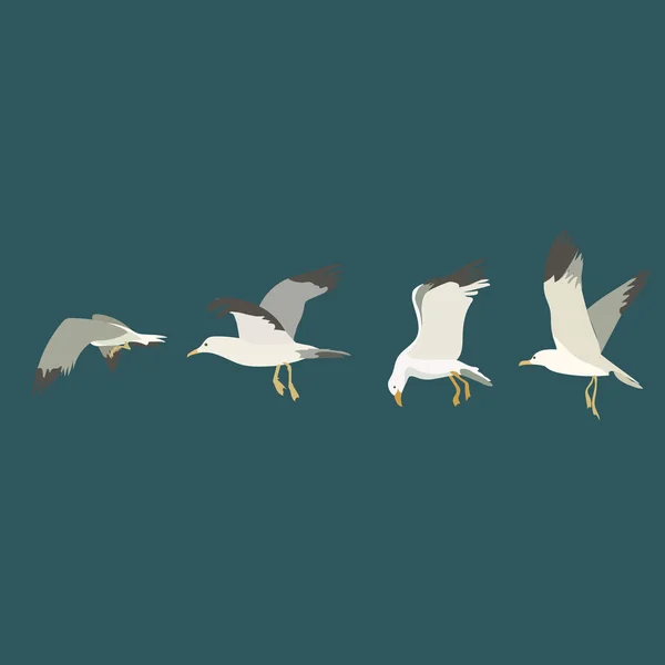 Gaviotas en el cielo. Ilustración, elementos para el diseño . — Vector de stock