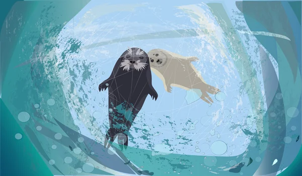 Winter postcard, sea calf. Realistic seal with baby. View from the ice. Vector illustration — Stock vektor