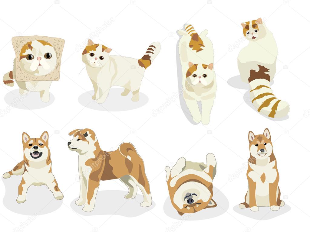 Cat and Dog characters. Cartoon styled vector illustration. Shiba inu. Tabby van set