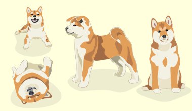 Komik köpekler. stilize evcil hayvan beyaz ayarla. Şirin shiba Inu köpek