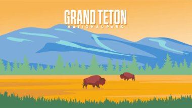 beautiful views of Grand Teton National Park