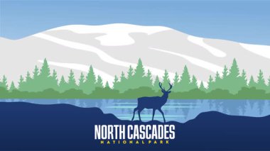 Kuzey Cascades Ulusal Parkı 'ndaki güzel doğal manzara.