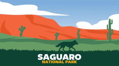 Saguaro Ulusal Parkı 'nın güzel manzarası