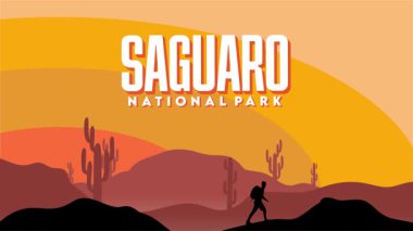 Saguaro Ulusal Parkı 'nın güzel manzarası