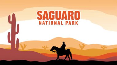 Saguaro Ulusal Parkı 'nın güzel manzarası