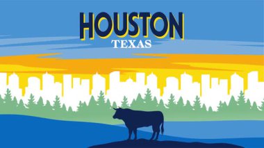 Houston, Teksas 'ın siluetinin güzel manzarası