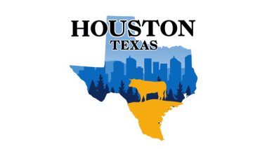 Houston, Teksas 'ın siluetinin güzel manzarası