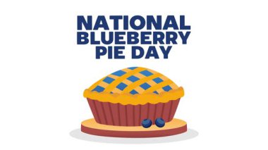 Lezzetli yaban mersinli turta günü