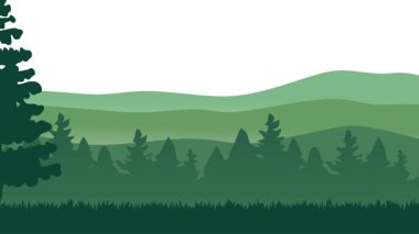 Güzel orman manzaralı yemyeşil ağaçlar