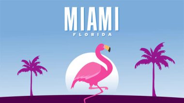 Miami, Florida 'da güzel bir palmiye ağacının silüeti.