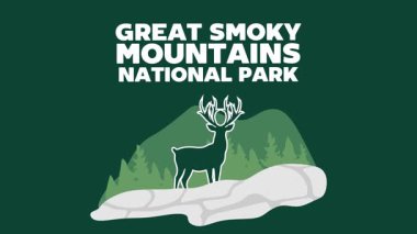 Muhteşem Smoky Dağları Ulusal Parkı Güzel ve büyüleyici manzaralı