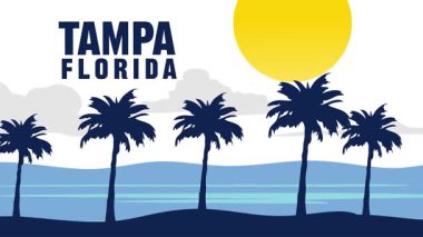 Güzel palmiye ağacı siluetleri olan Tampa Florida