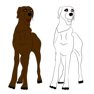 Kahverengi köpek. Boyama. Vektör çizim