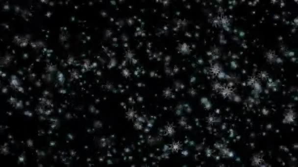 Nevicate. Bellissimi fiocchi di neve. Ciclo — Video Stock