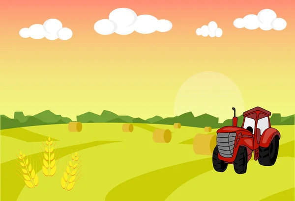 Tractor de granja con gavilla. Cosecha. Ilustración del paisaje agrícola. Fondo de trigo de campo. Granja de fondo amanecer. Ilustración vectorial — Archivo Imágenes Vectoriales