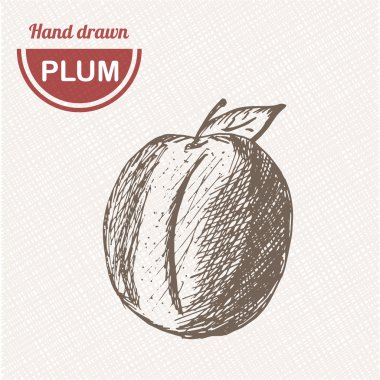 Çizimler kompozisyonu pompa. El çekilmiş pompası. Vintage kroki tarzı illüstrasyon.