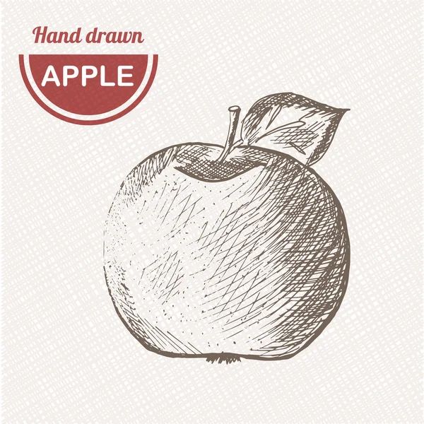 Skizzen Apfelkomposition. handgezeichneter Apfel. Vintage Skizze Stil Illustration. — Stockvektor
