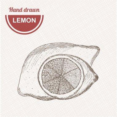 Eskizler limon kompozisyonu. Elle çizilmiş limon. Vintage çizim tarzı illüstrasyon.