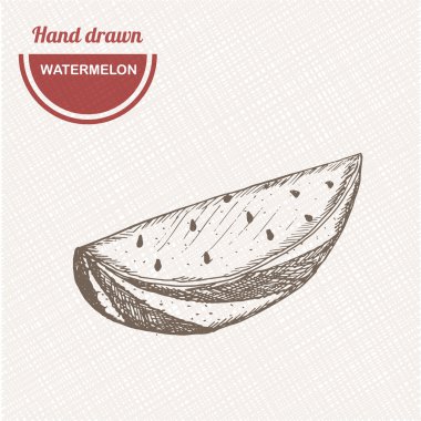 Karpuz kompozisyonunu çizer. Elle çizilmiş karpuz. Vintage çizim tarzı illüstrasyon.