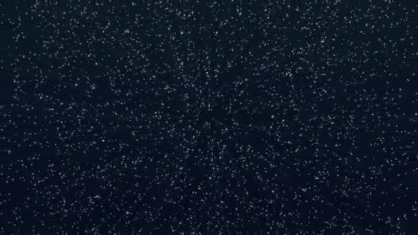 Ручные снежинки со снегом. Фон снежинки . — стоковое видео