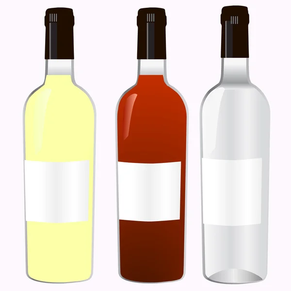 Botella para vino . — Vector de stock