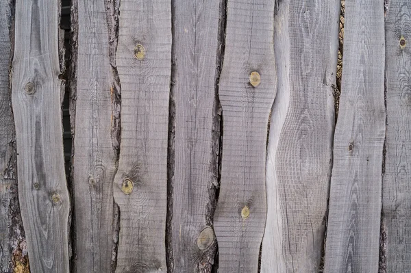 eski yönetim kurulu