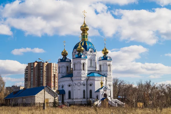 St. alexander nevsky Kilisesi