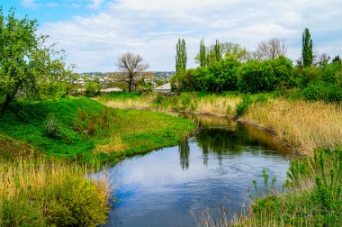 Bahar doğa güzellik