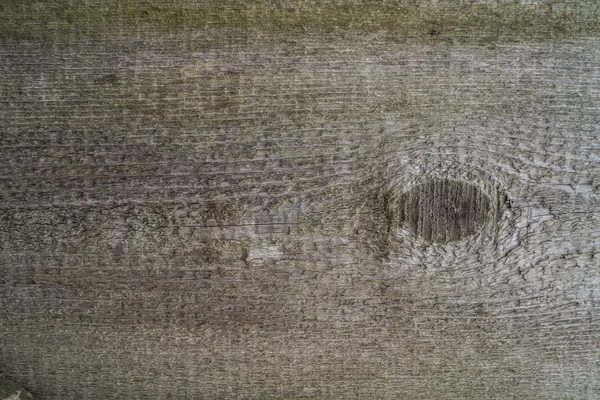 eski yönetim kurulu