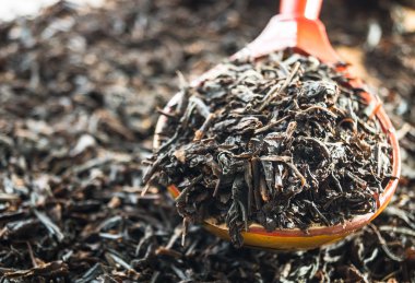 Hibiscus çay portre