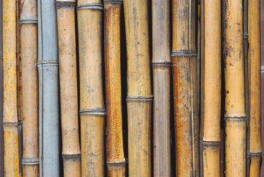 Bambu duvar dikey arka plan deseni