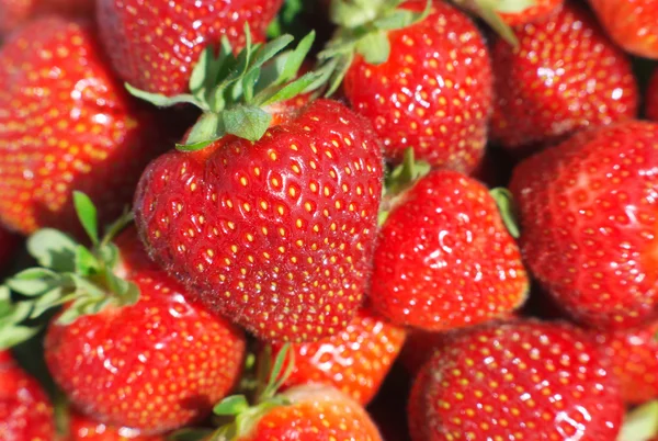 Strawberry korg på marknaden närbild makro view — Stockfoto