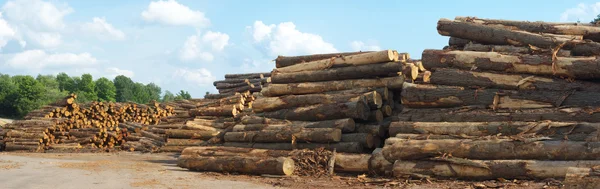Tartak stoczni rejestruje stosy woodpiles — Zdjęcie stockowe