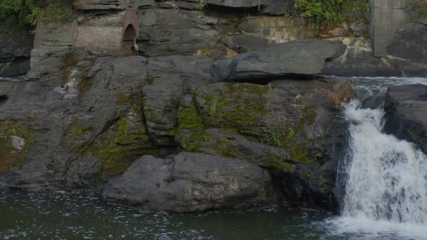 滝の上を飛ぶ2匹の青いサギ岩と水の風景 — ストック動画