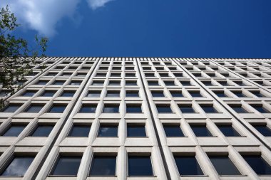 beton bina pencereleri gökdelen ofis şirketi mavi gökyüzü ve ağaç