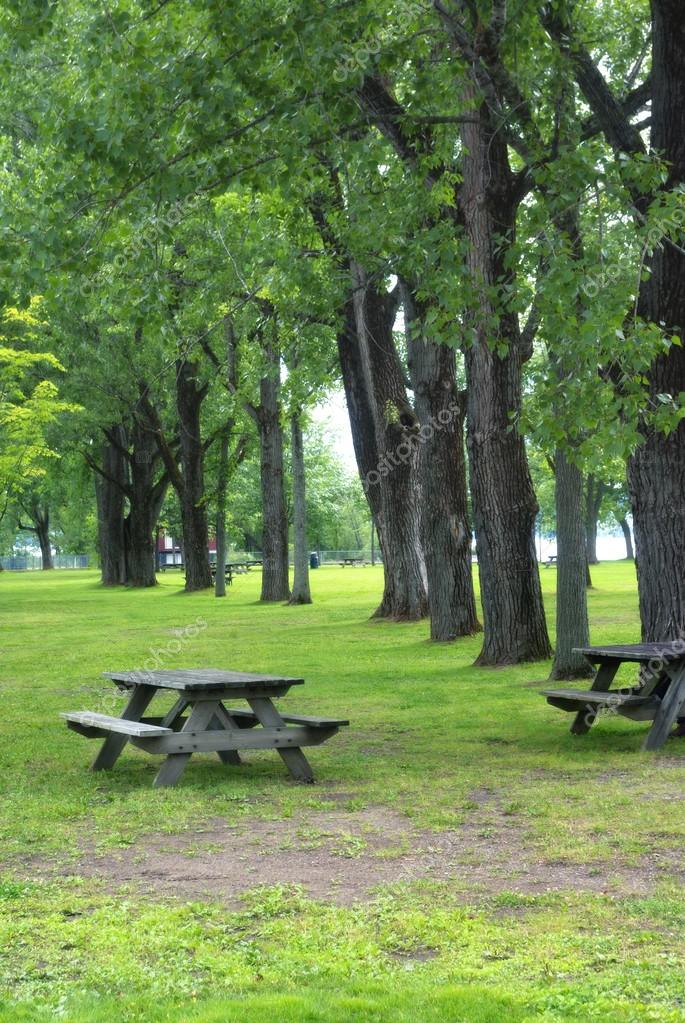 Get Picnic Tables Park PNG