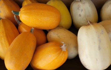 Ekim ayında portakal spagetti squashs sepet