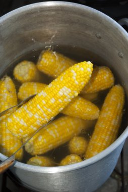 mısır koçanı pişirme